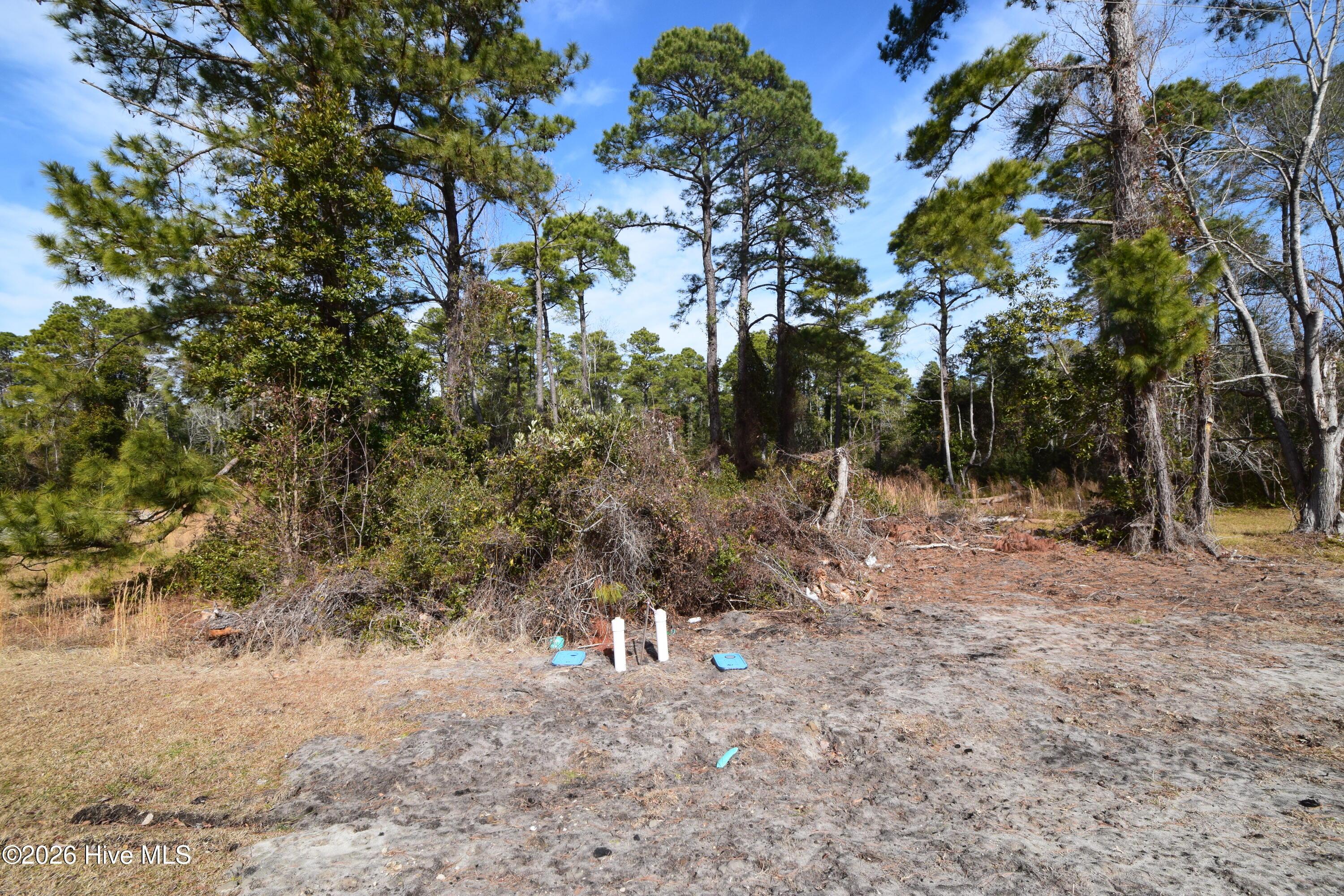 Image 1: 1