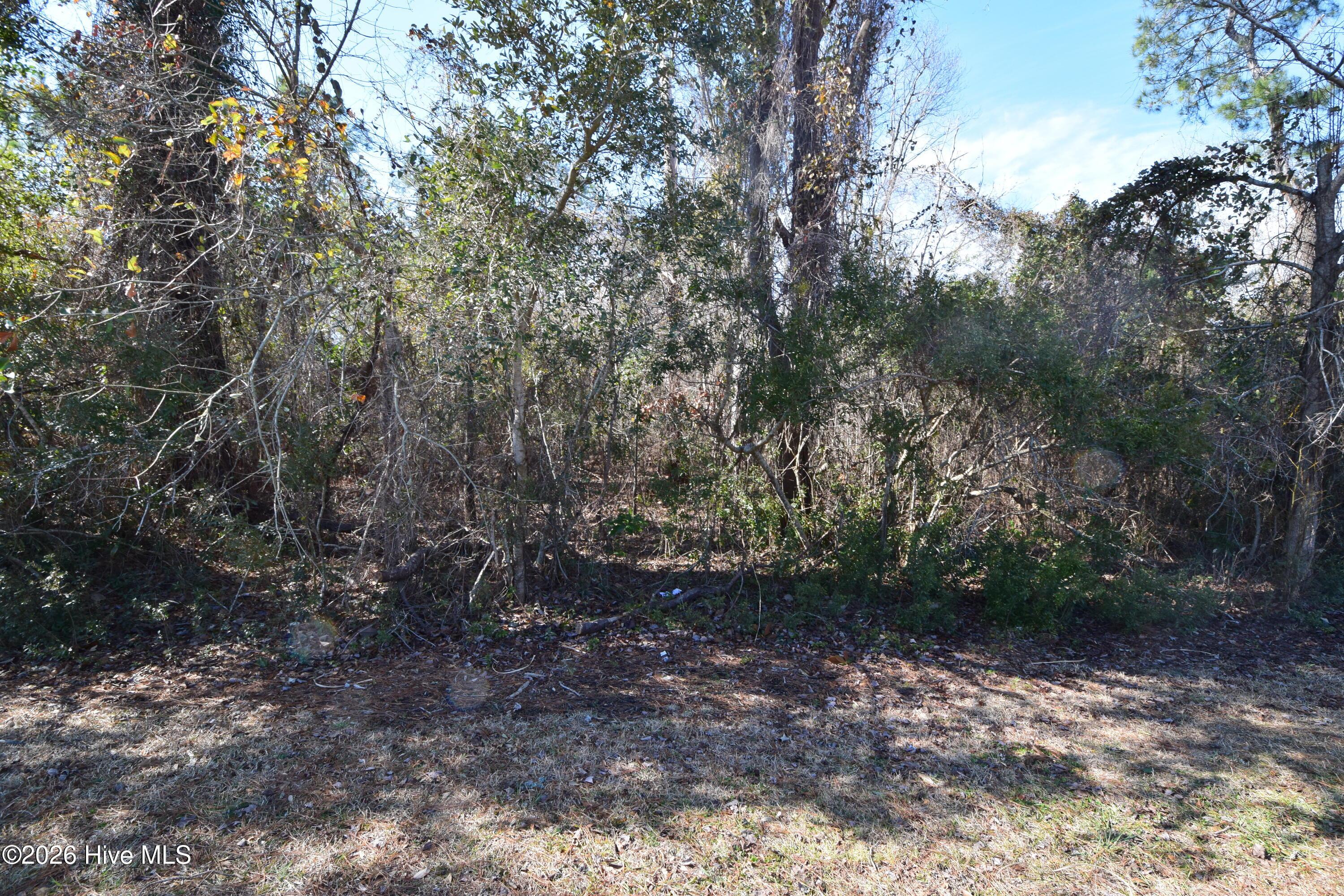 Image 1: 1