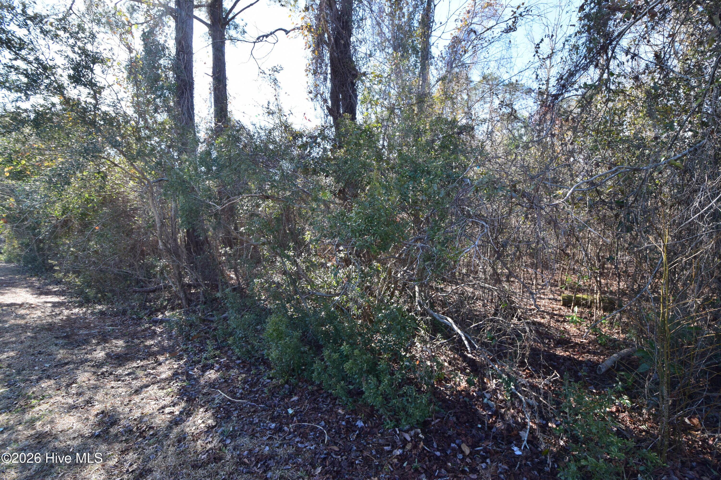 Image 2: 2