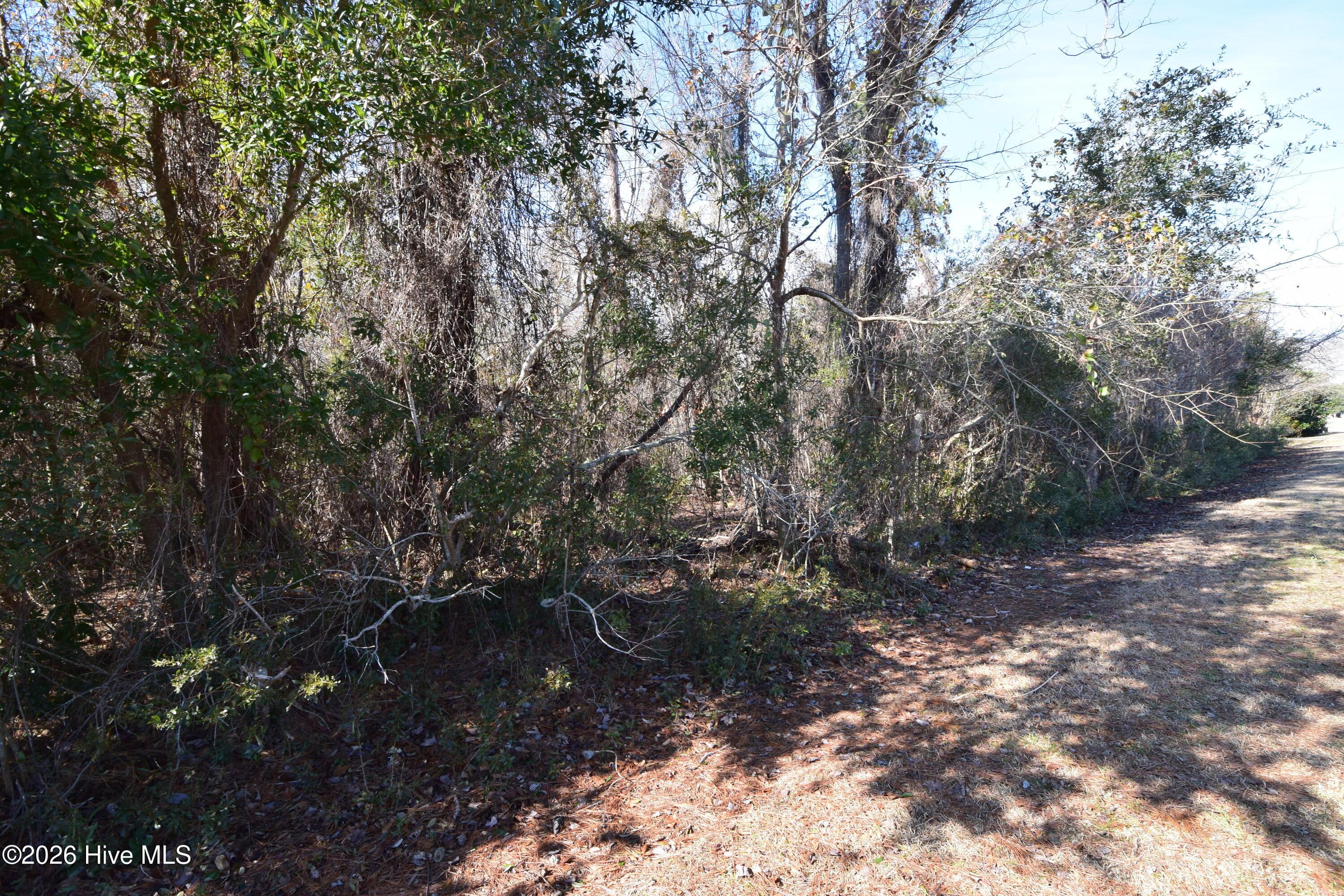 Image 3: 3