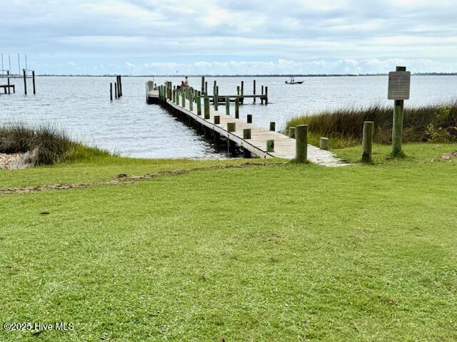Image 4: community boat dock