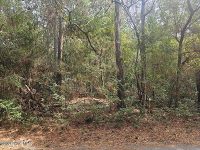 45 Fort Holmes Trail
