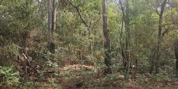 45 Fort Holmes Trail