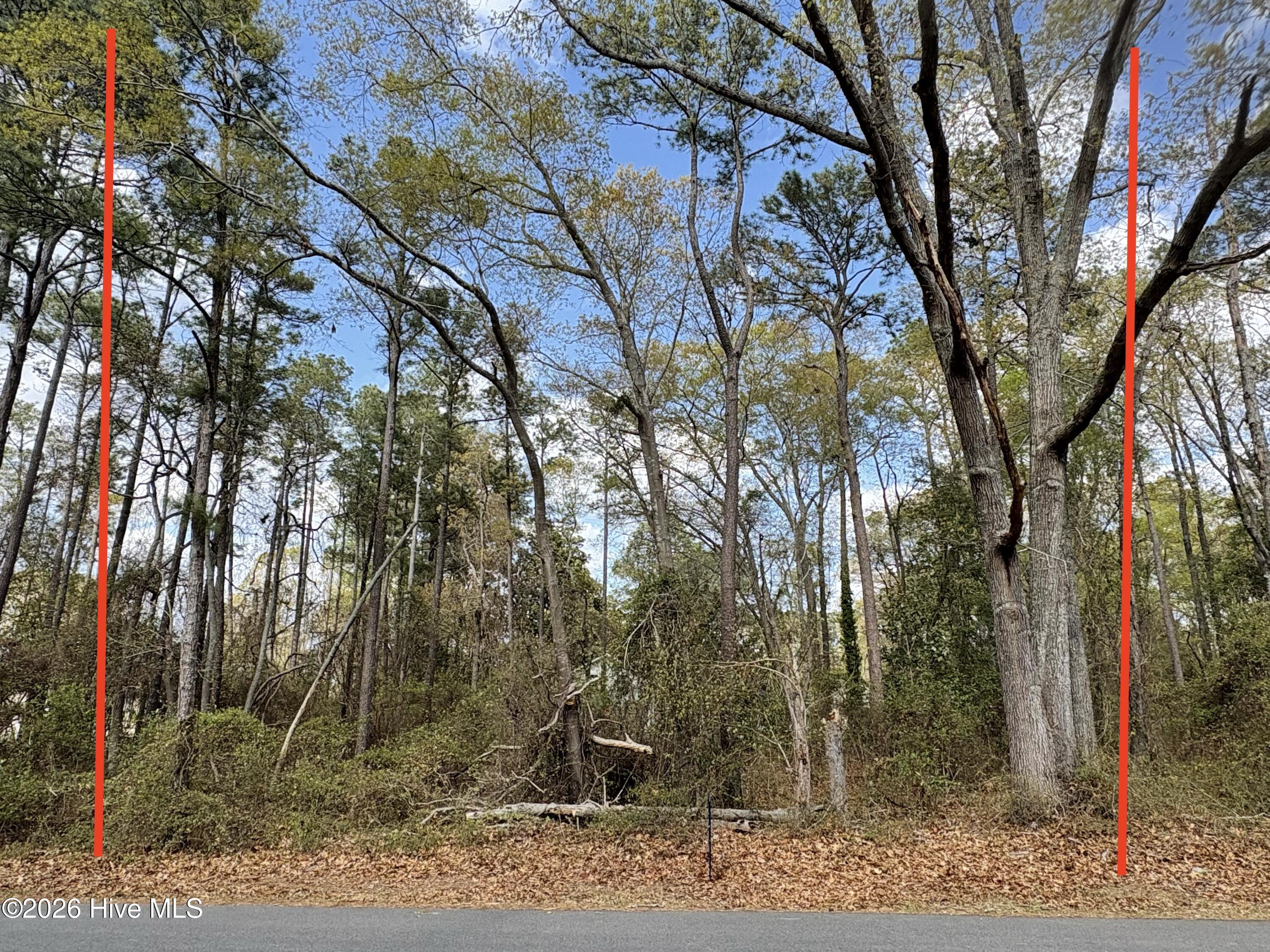 Image 1: Front of Lot