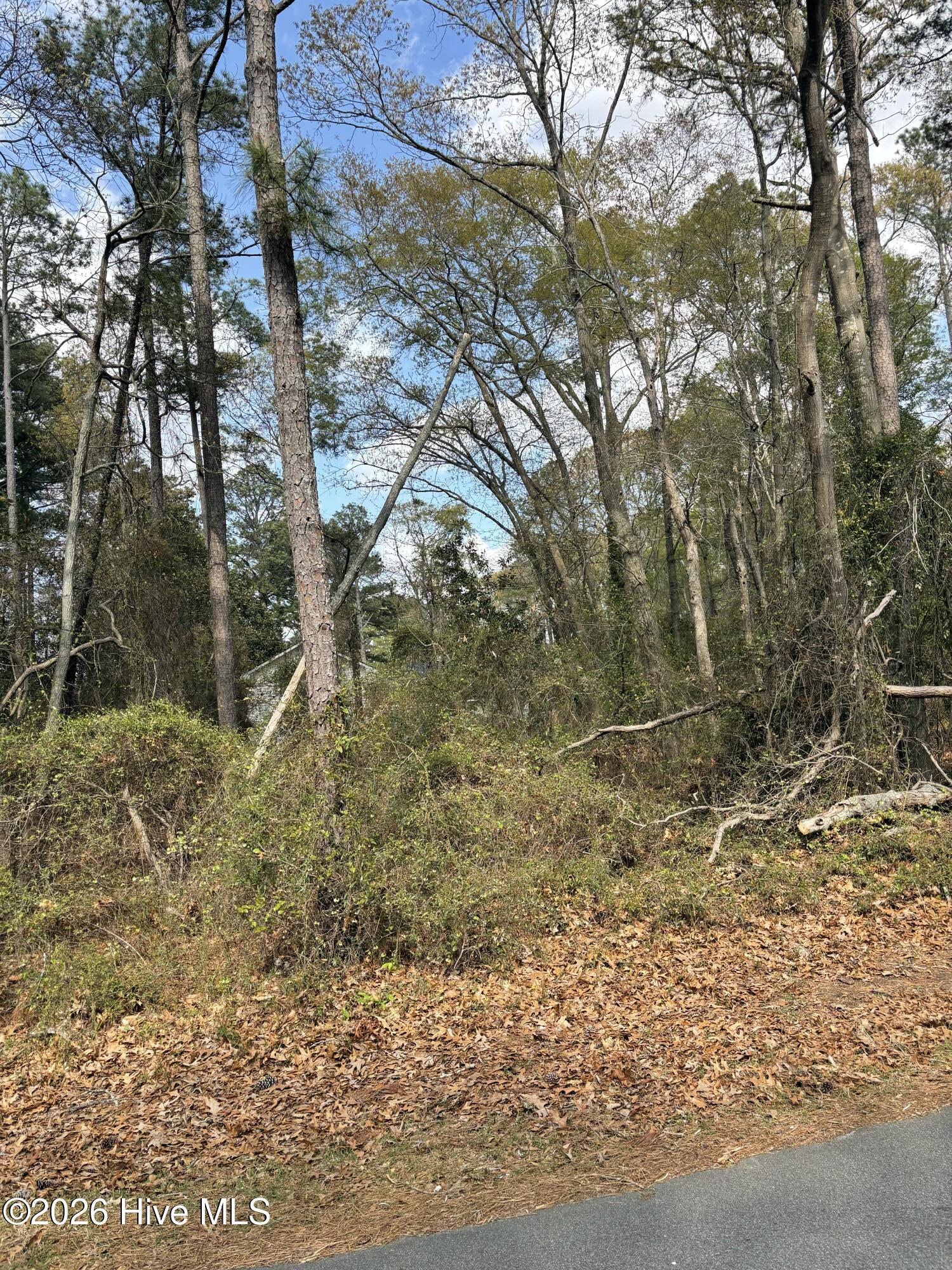 Image 2: Front of Lot 2