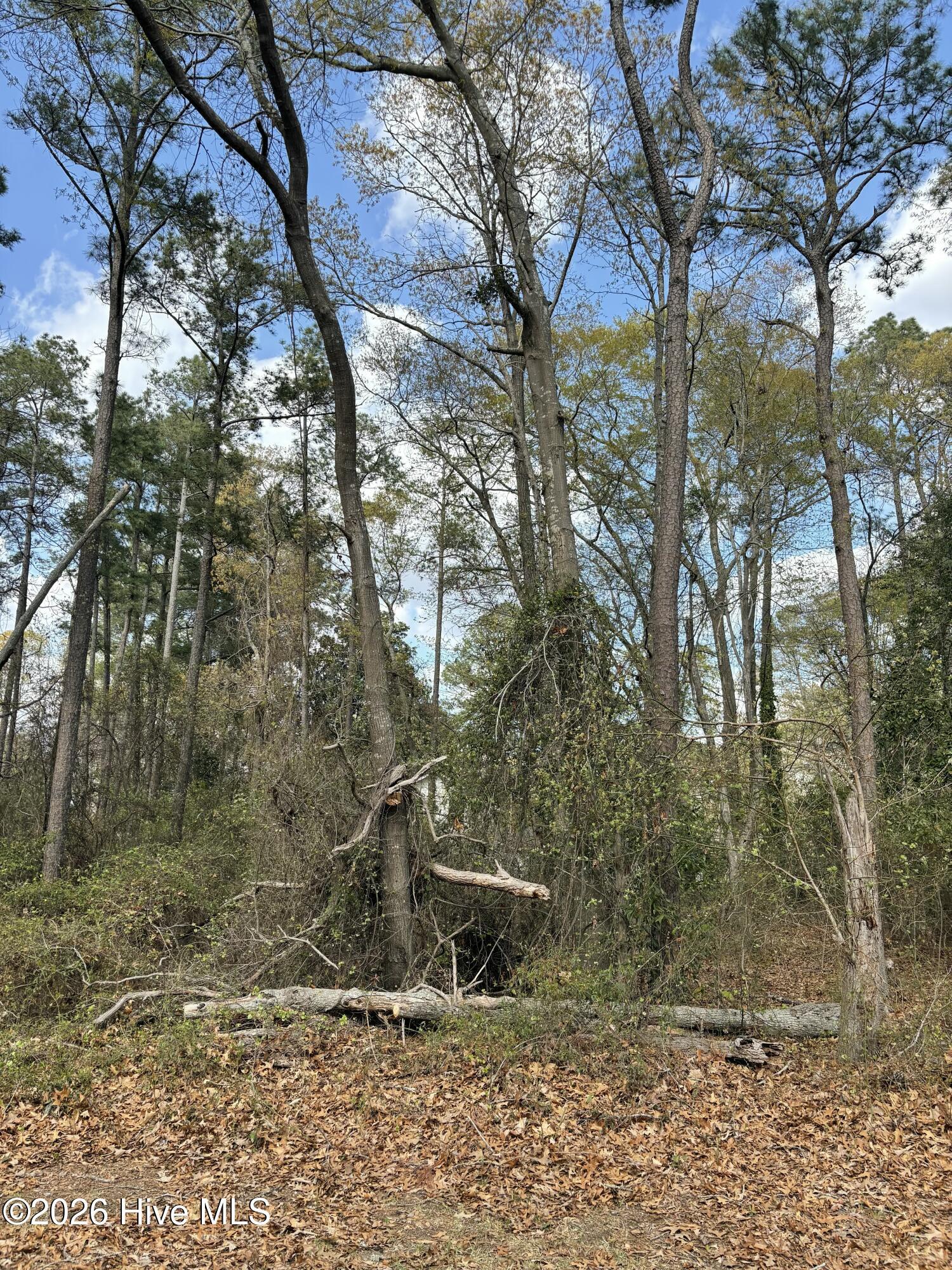 Image 3: Front of Lot 3