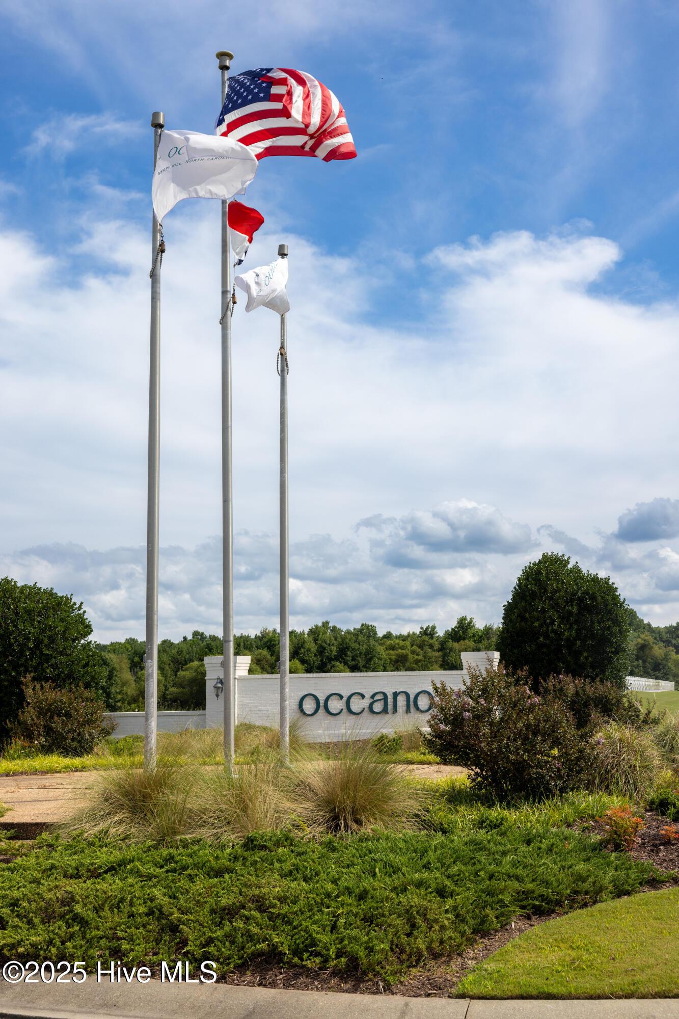Image 1: Occano-02
