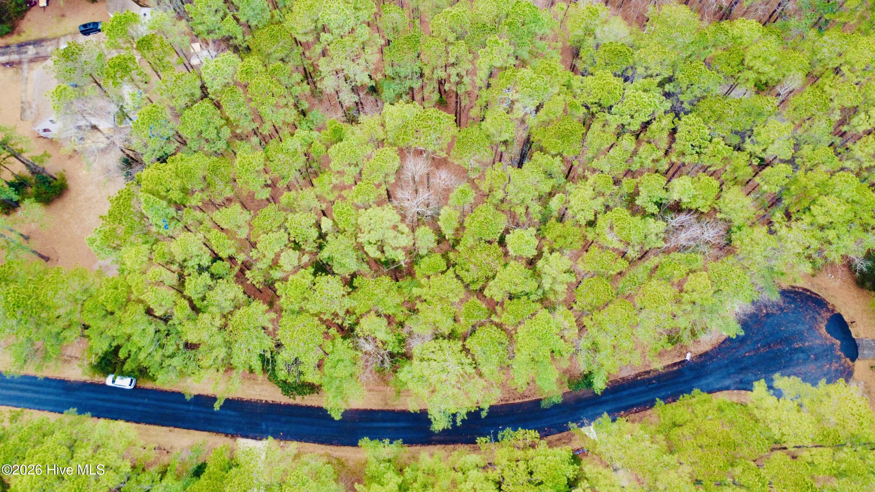 Image 4: DJI_0872
