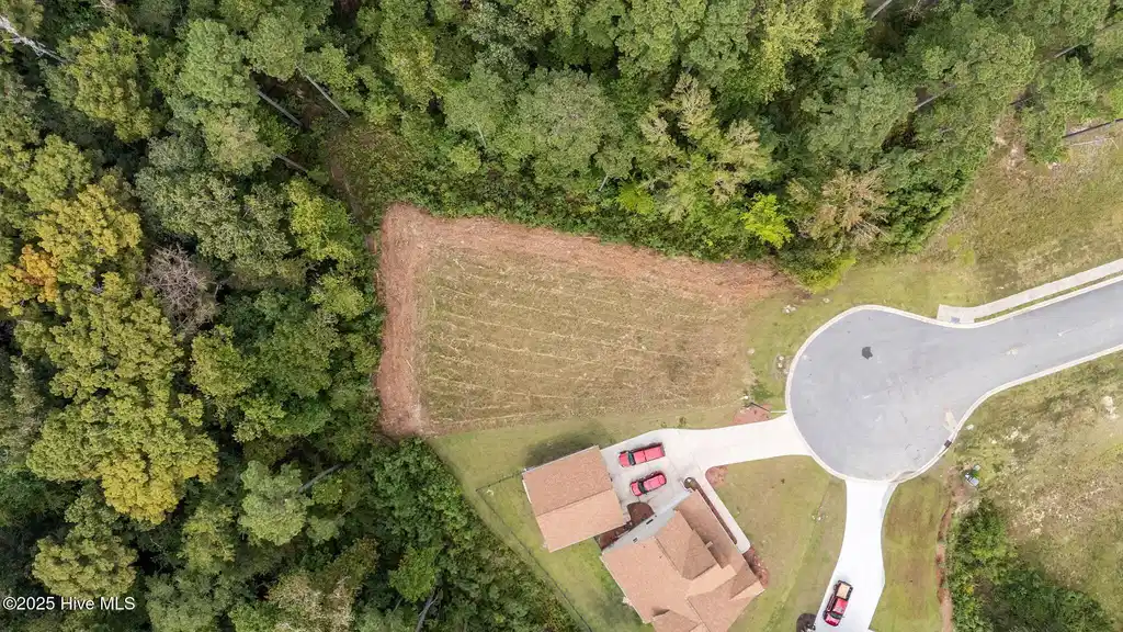 Image 1: Aerial