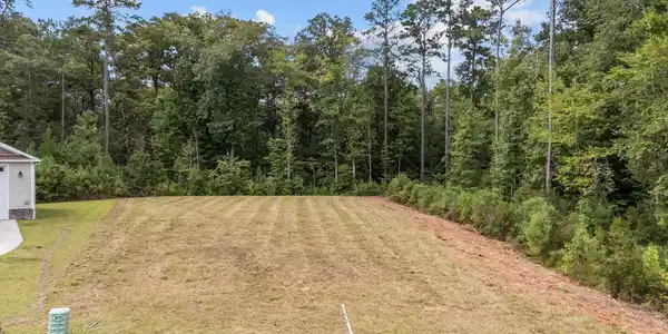 Image 2: Cleared property