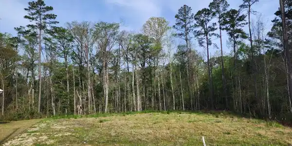 Image 4: Ground view