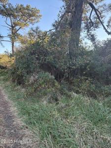 196 Styron Creek Road