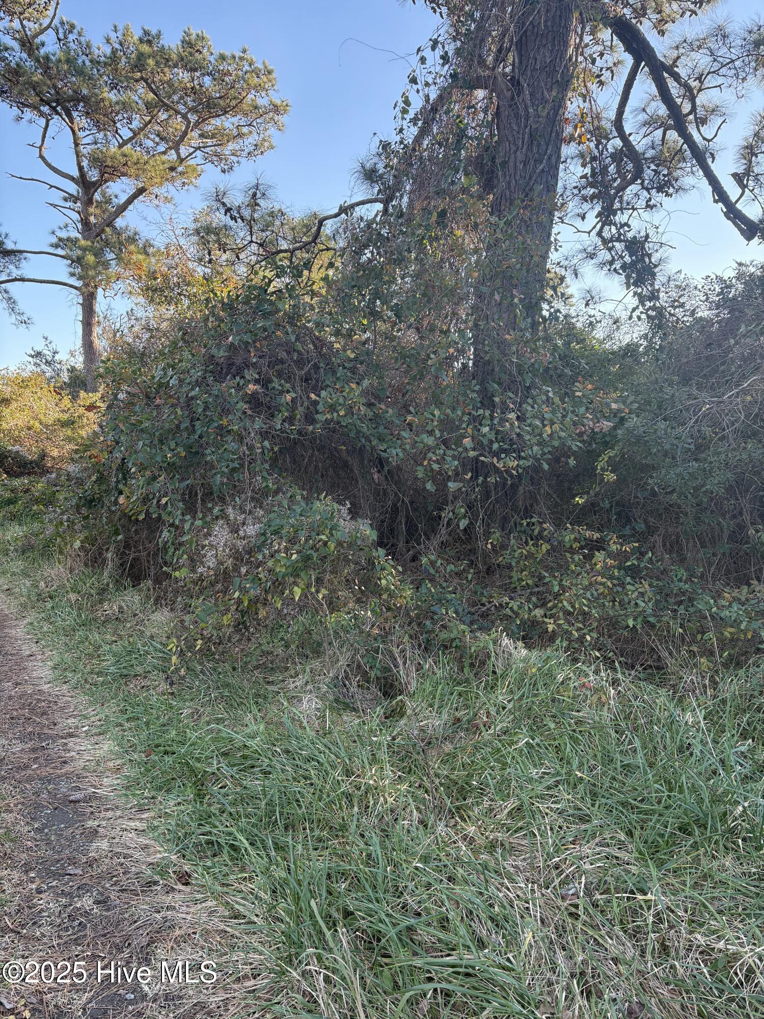 Image 1: tempImageLtU41U