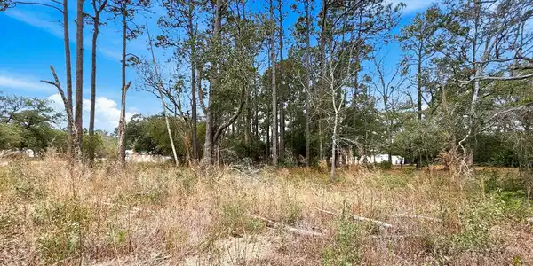 Image 2: shniderproductions.com-2
