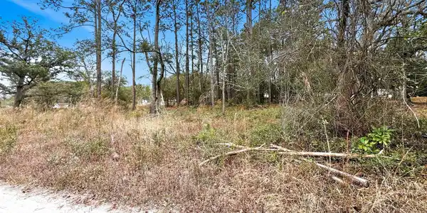 Image 3: shniderproductions.com-3
