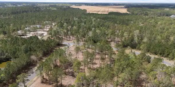 Image 4: 15-web-or-mls-DJI_20260331124556_0190_D