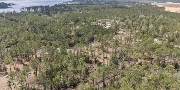 Image 3: 7-web-or-mls-DJI_20260331123737_0154_D