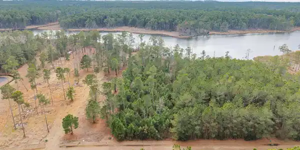 Image 4: 4-web-or-mls-DJI_20260219142146_0366_D