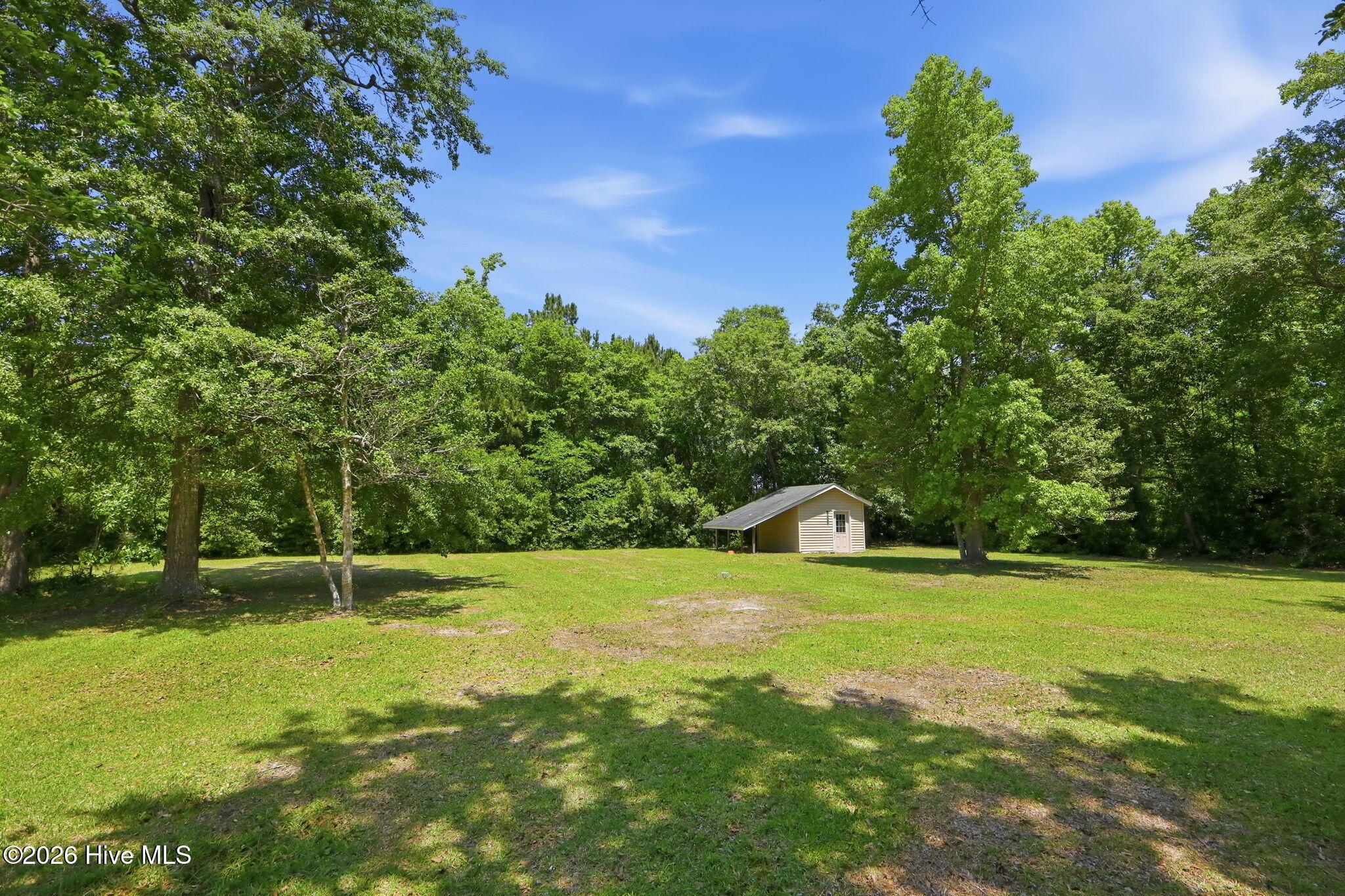 Image 3: Backyard