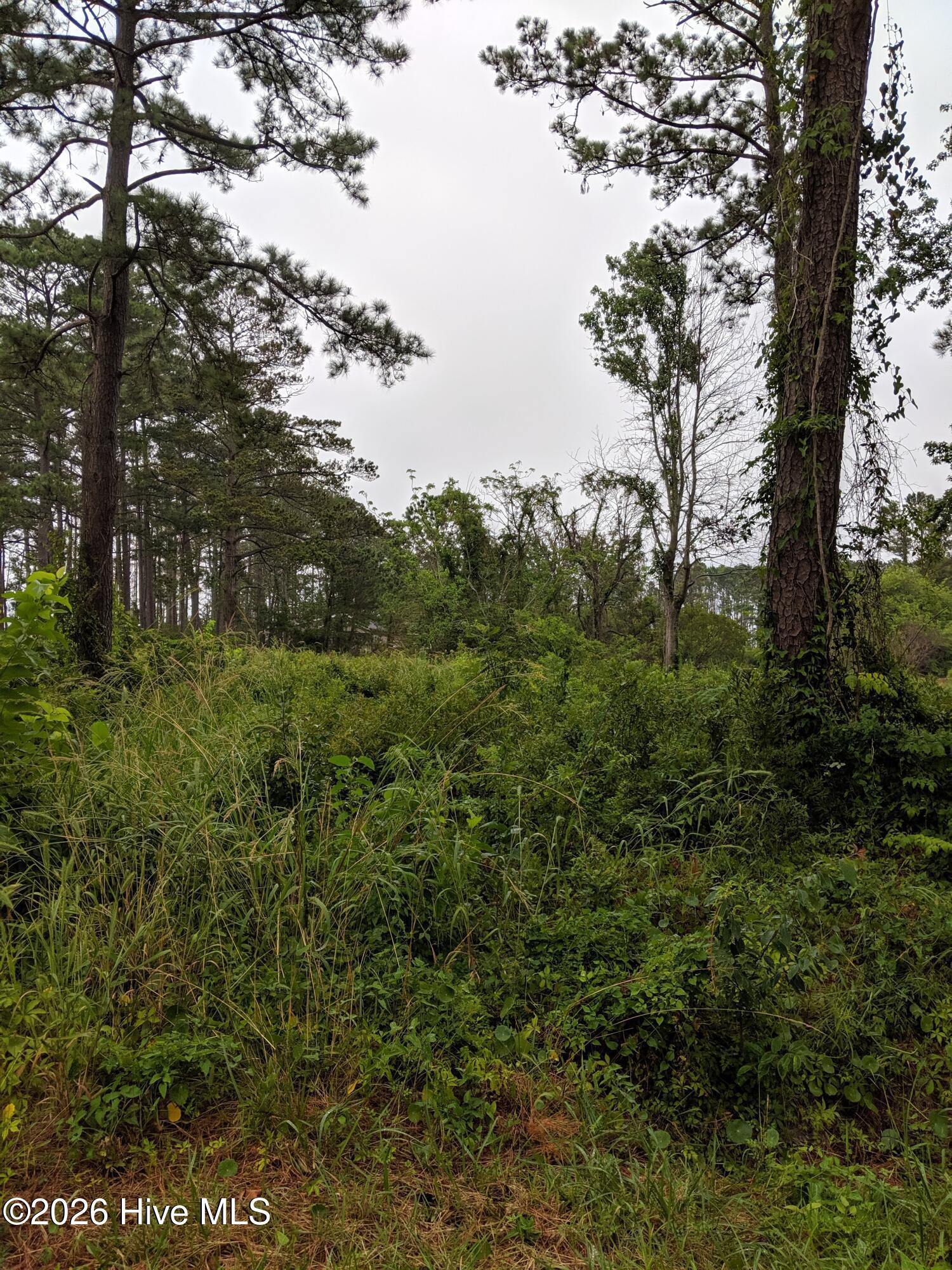 Image 2: IMG_20190703_160753