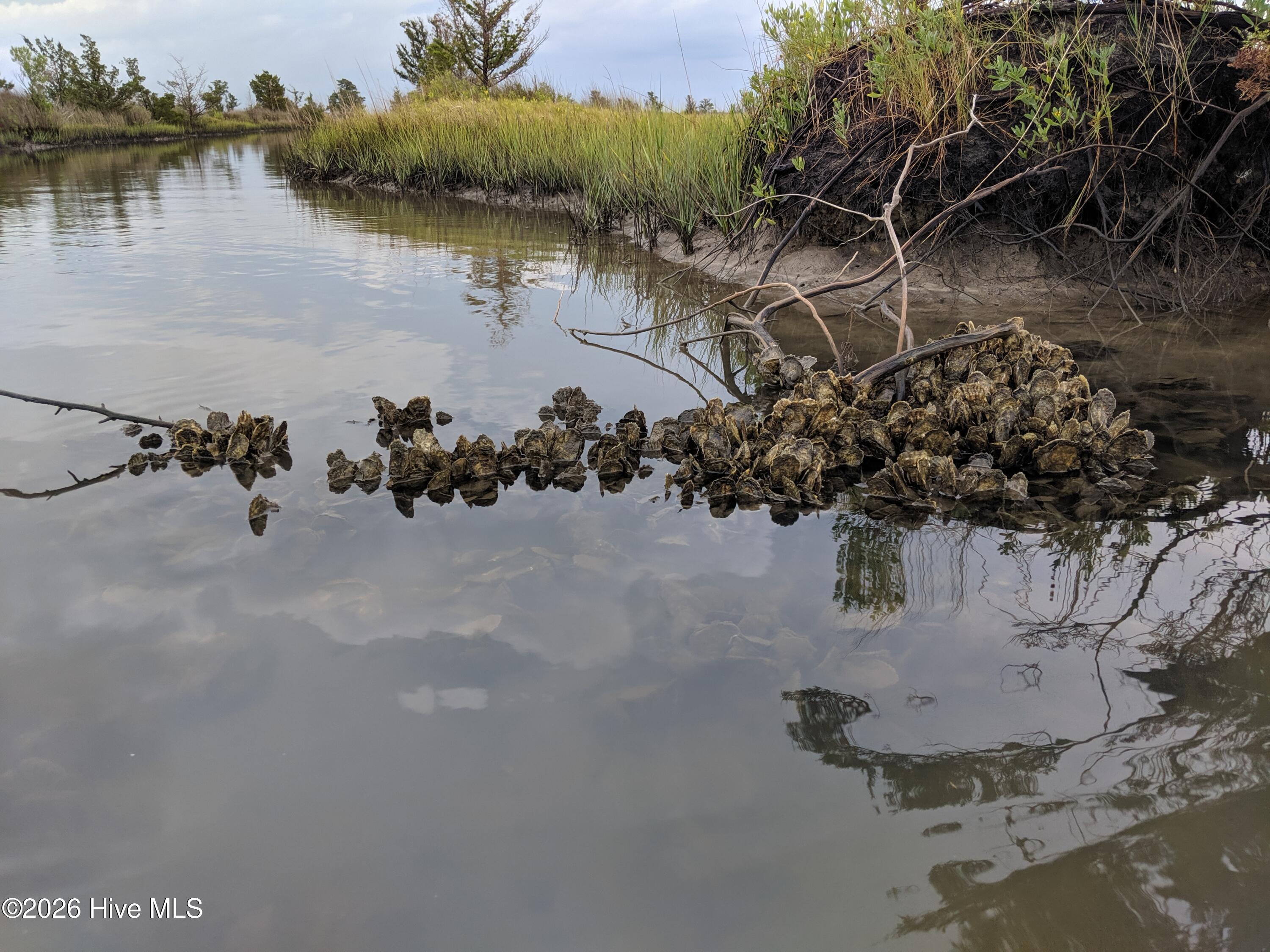 Image 3: MVIMG_20190706_074806