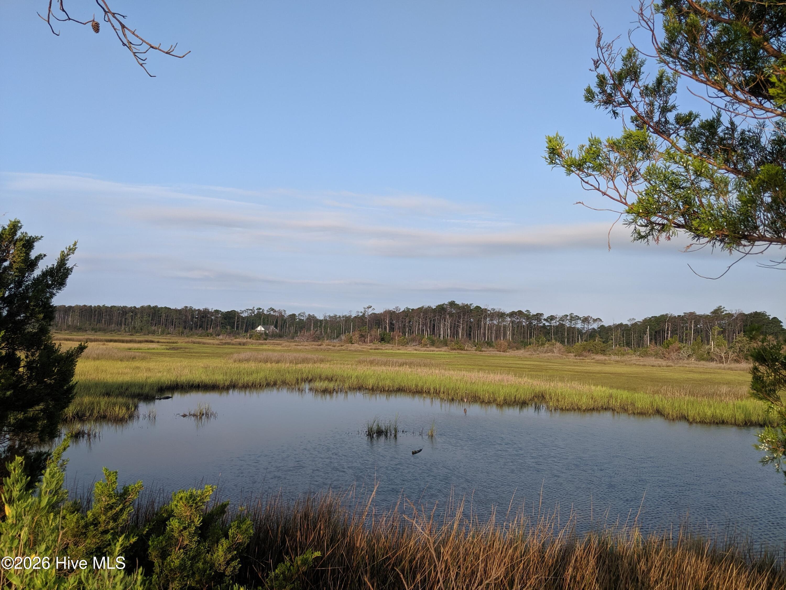 Image 4: IMG_20190704_071809