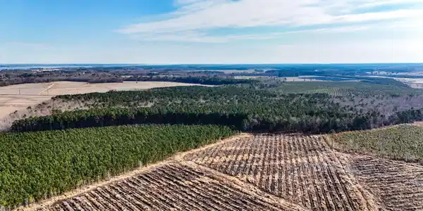 Image 2: dji_20260104133658_0007_d