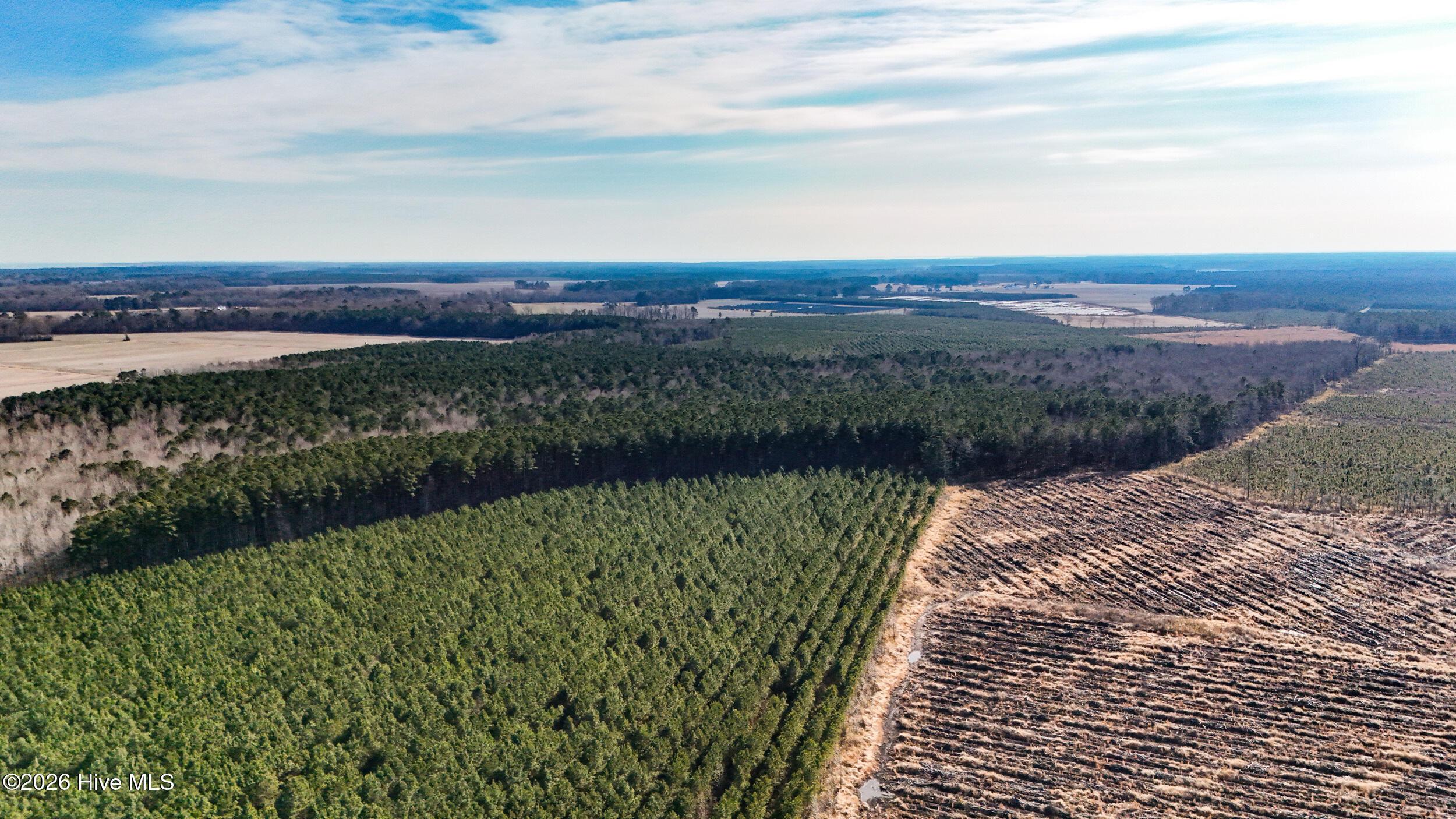 Image 3: dji_20260104133820_0010_d