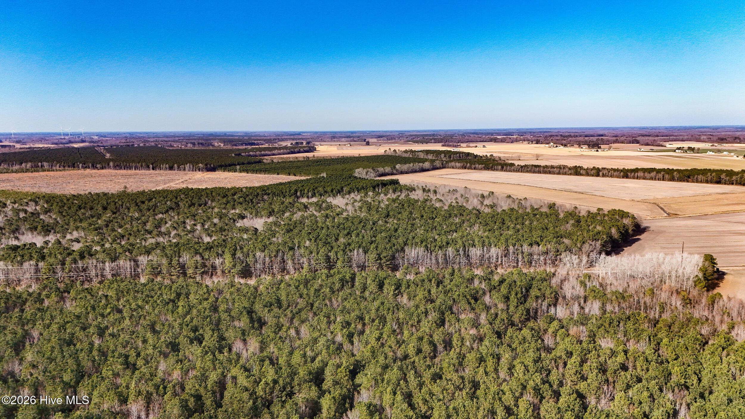 Image 4: dji_20260104133432_0005_d