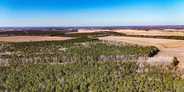 Image 4: dji_20260104133432_0005_d