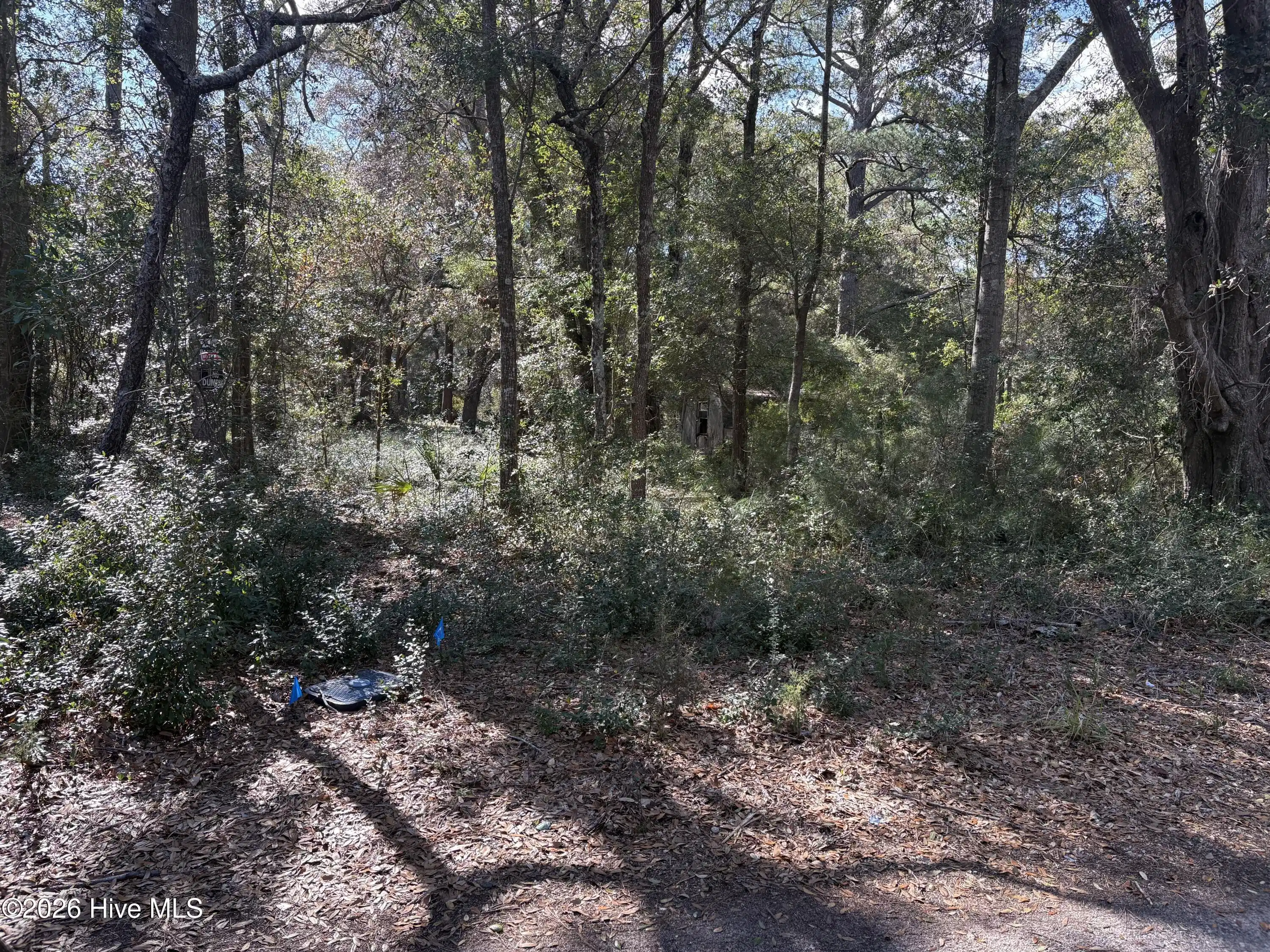 Image 1: main