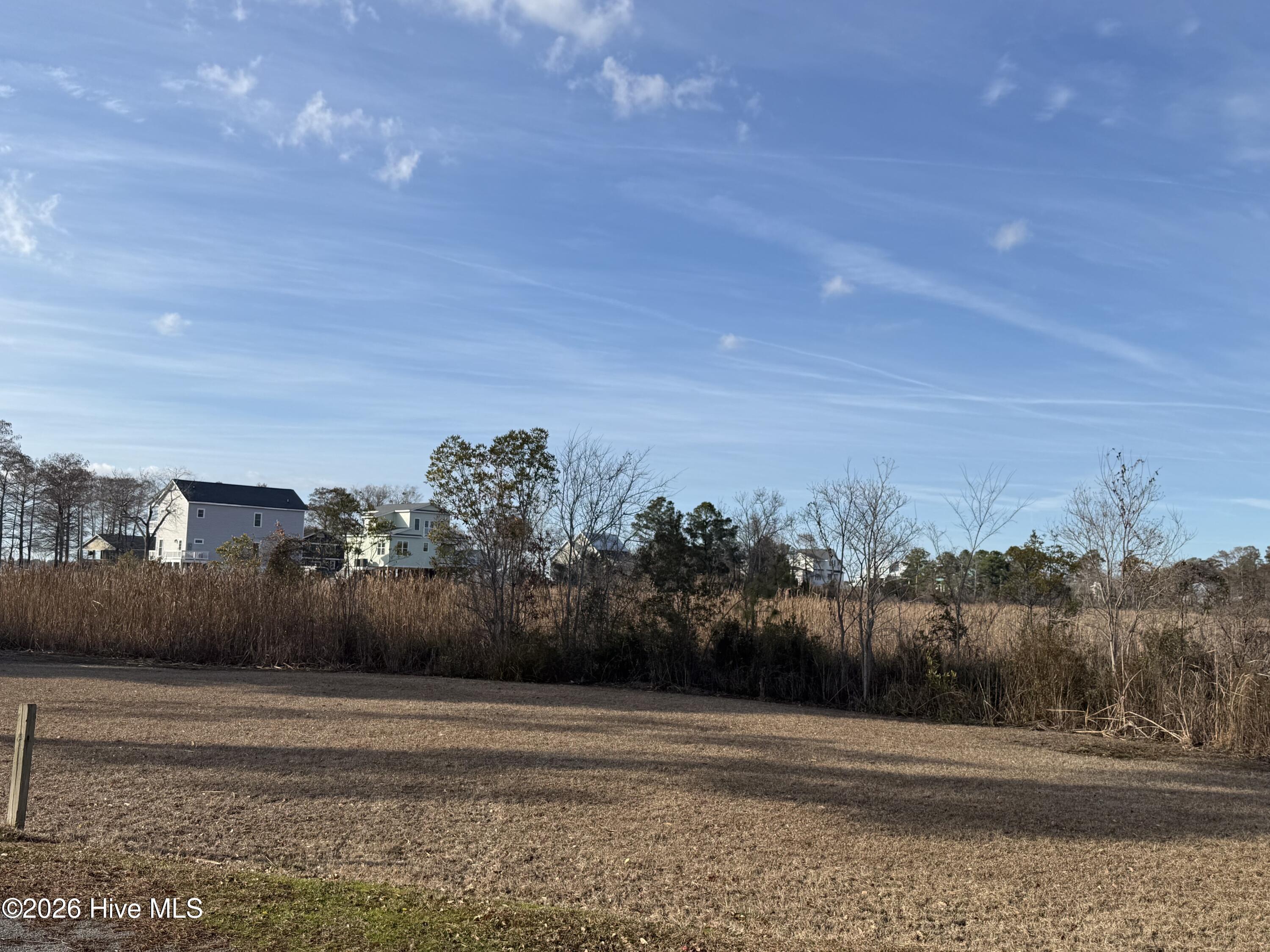 Image 3: IMG_0667