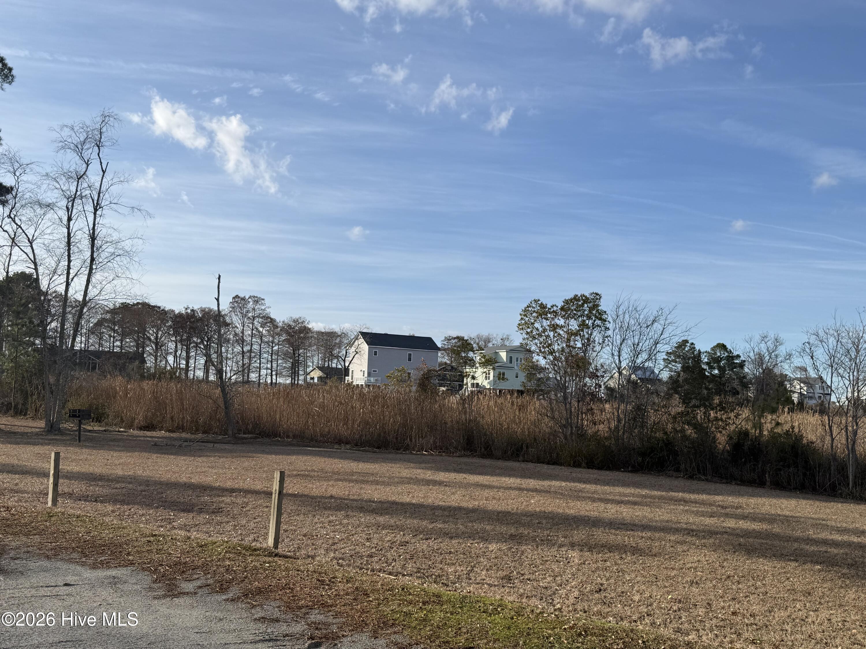 Image 4: IMG_0668