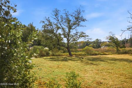 1408 Marsh Cove Lane