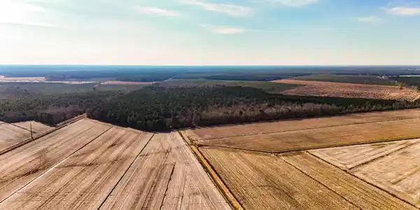 Image 2: dji_20260104133241_0001_d