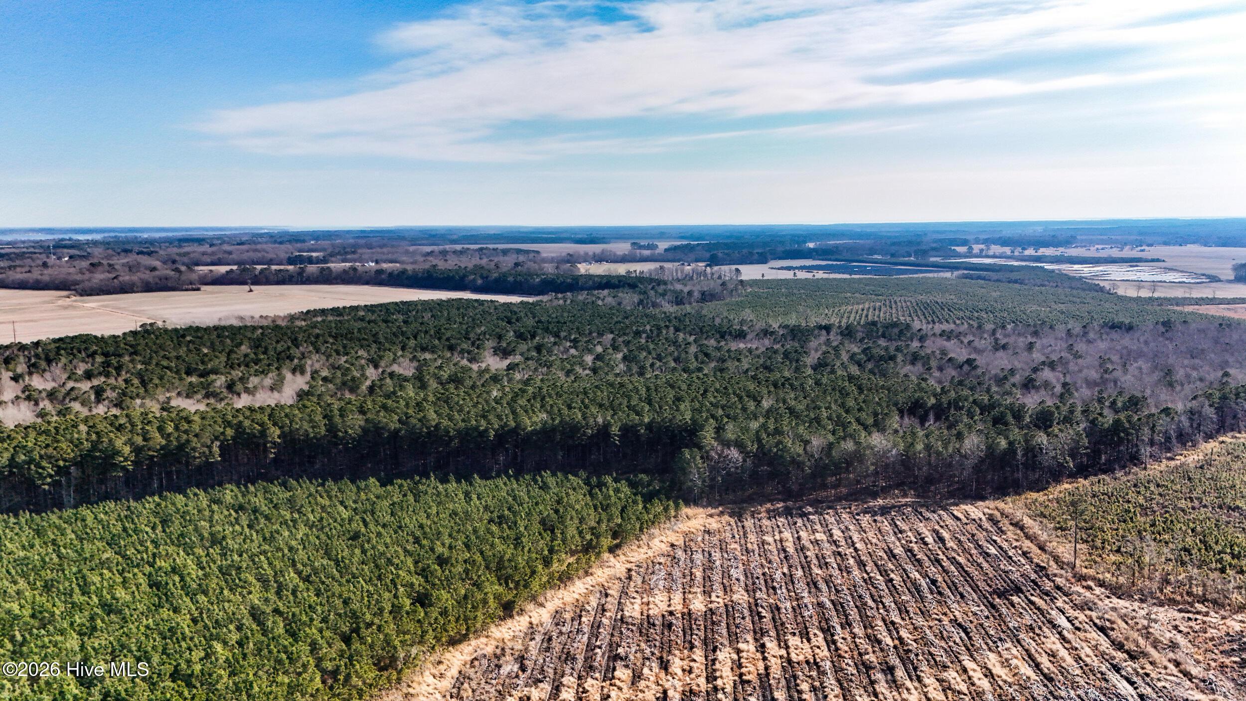 Image 3: dji_20260104133749_0008_d