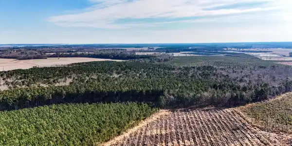 Image 3: dji_20260104133749_0008_d
