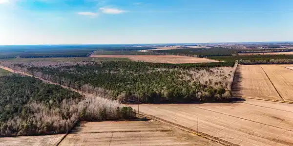 Image 4: dji_20260104133343_0003_d
