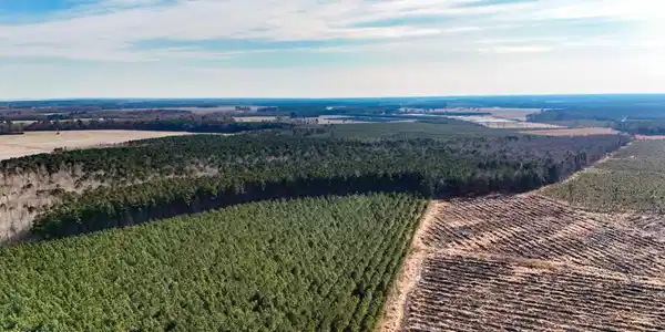Image 2: dji_20260104133820_0010_d