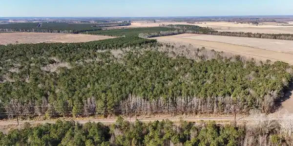 Image 3: dji_20260104134503_0014_d