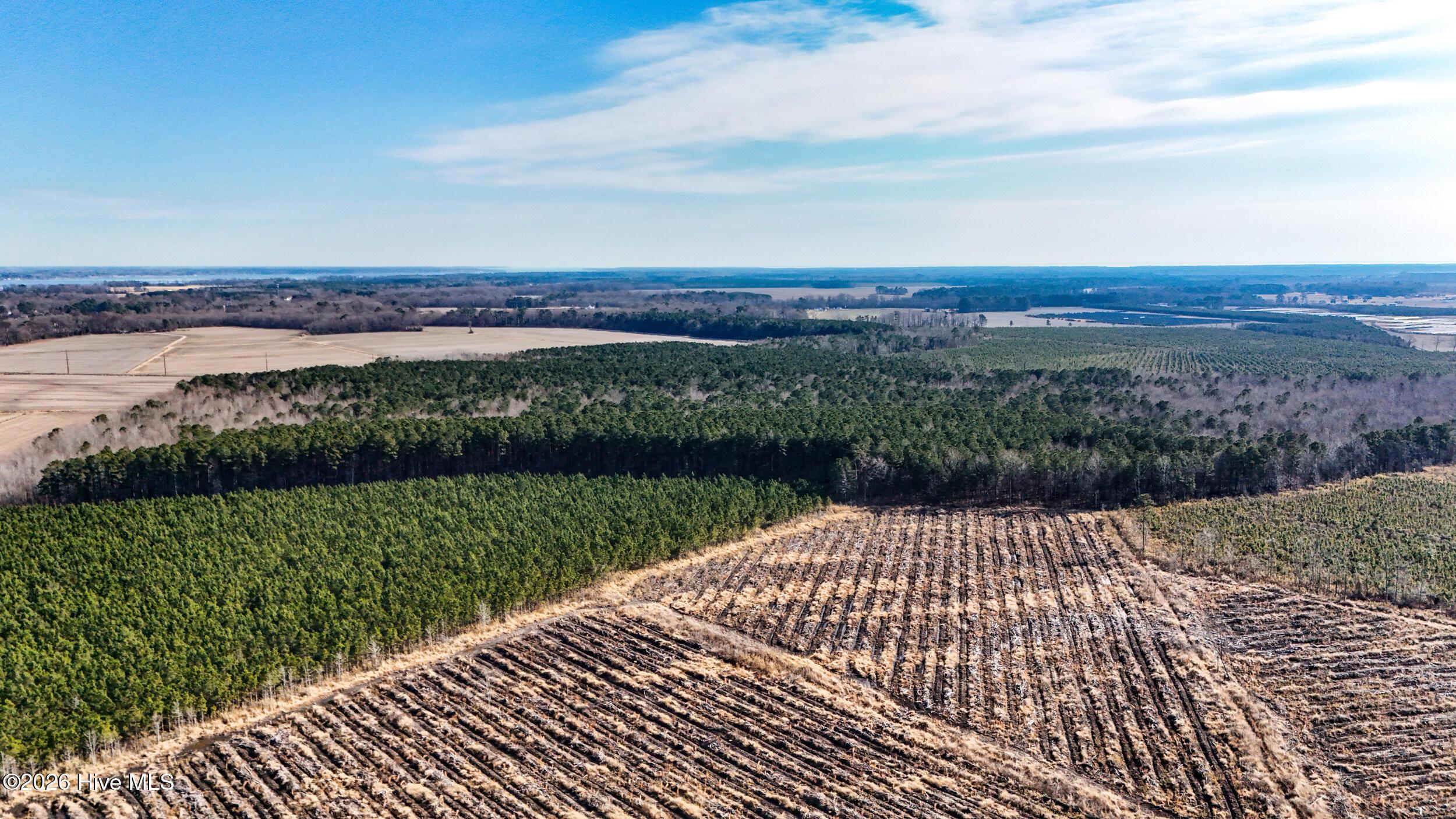 Image 4: dji_20260104133658_0007_d