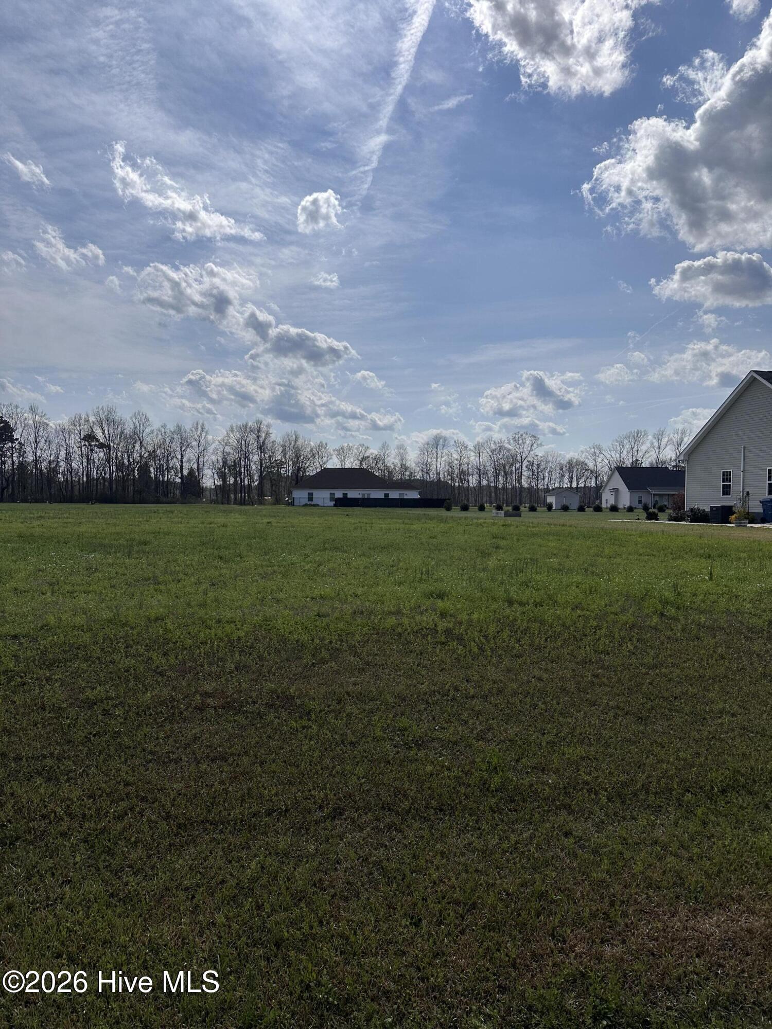 Image 2: lot 53-2