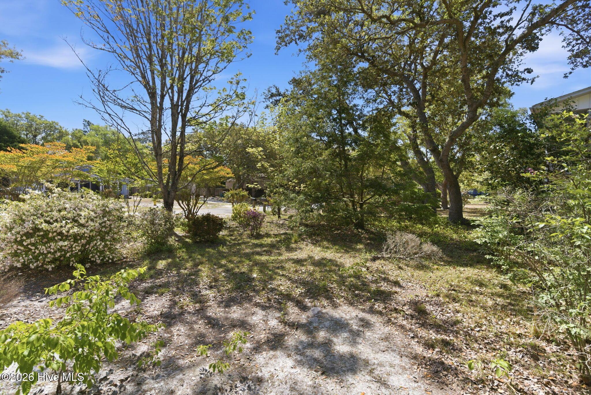 Image 4: 15-web-or-mls-dsc06013