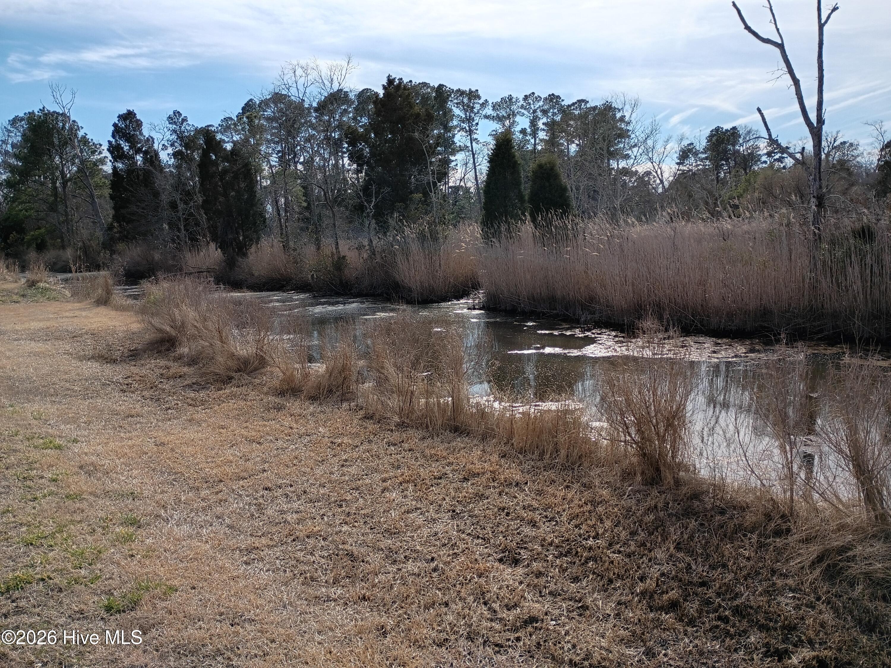 Image 4: IMG_20260212_144356418_HDR