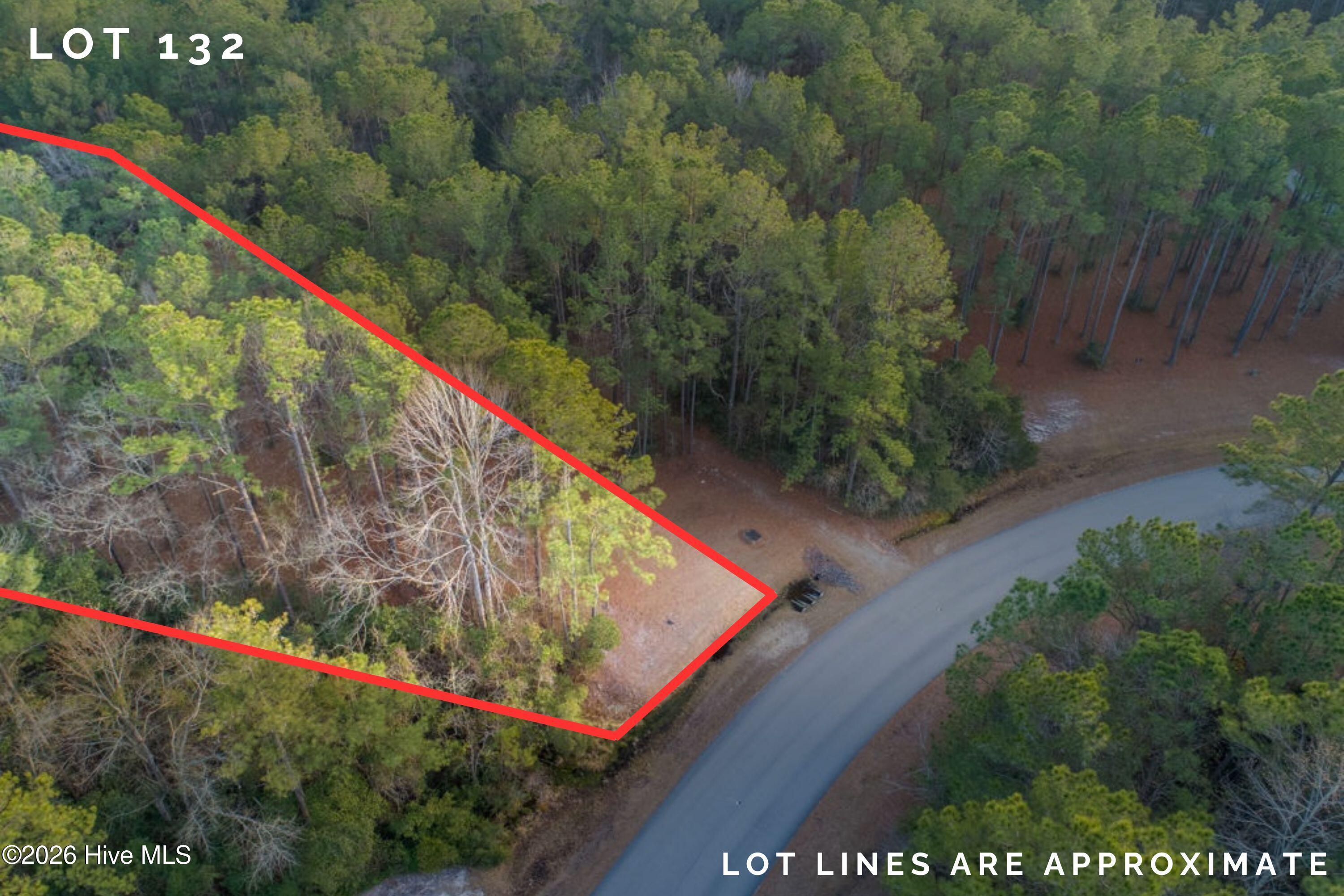 Image 1: Lot 132 (1)