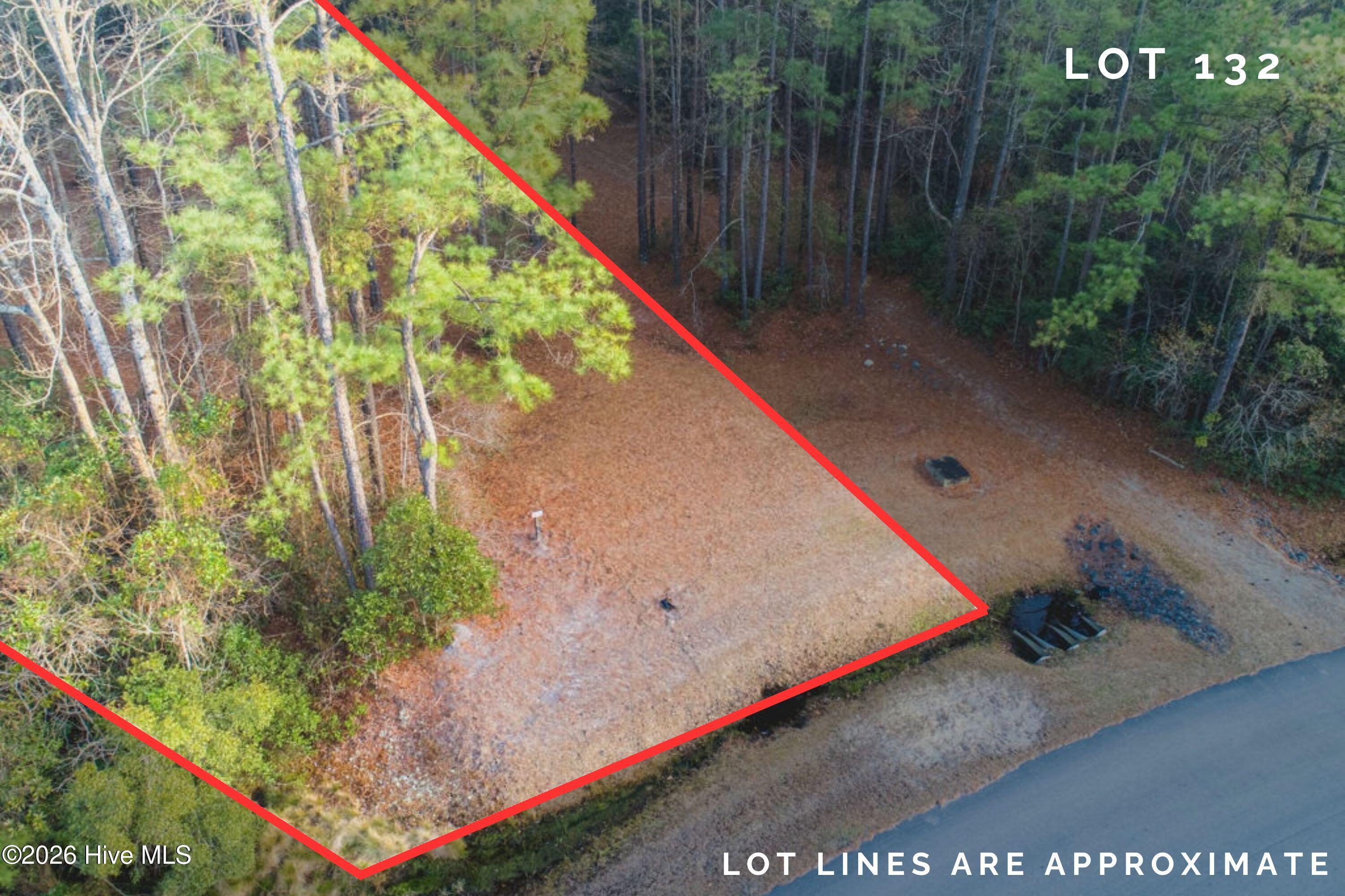 Image 2: Lot 132 (2)