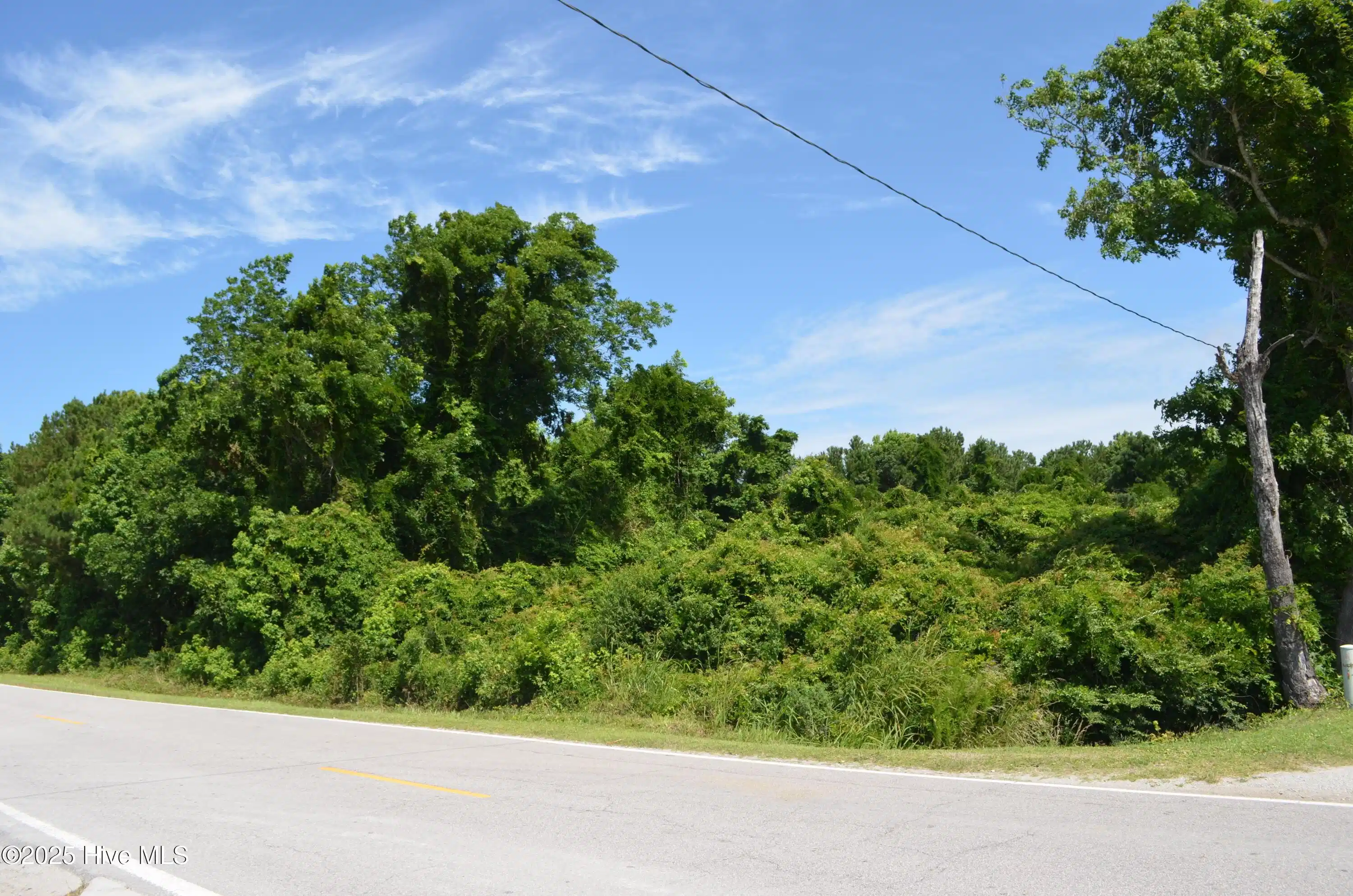 Image 1: 258 Laurel Rd