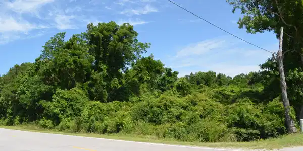 258 Laurel Road