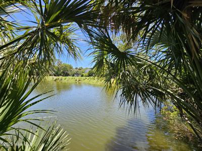 30 Sabal Palm Trail