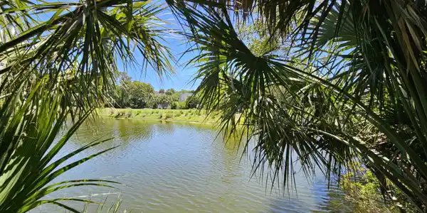 30 Sabal Palm Trail